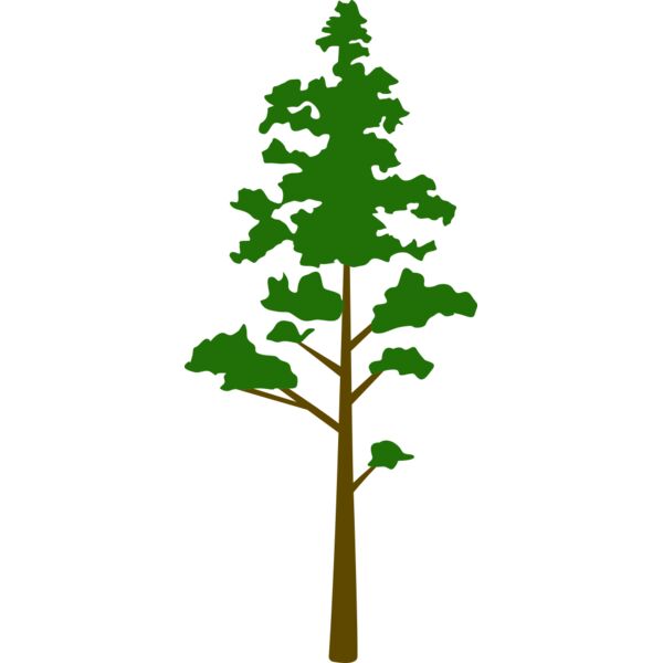 Tree Plant 8 Thumbnail