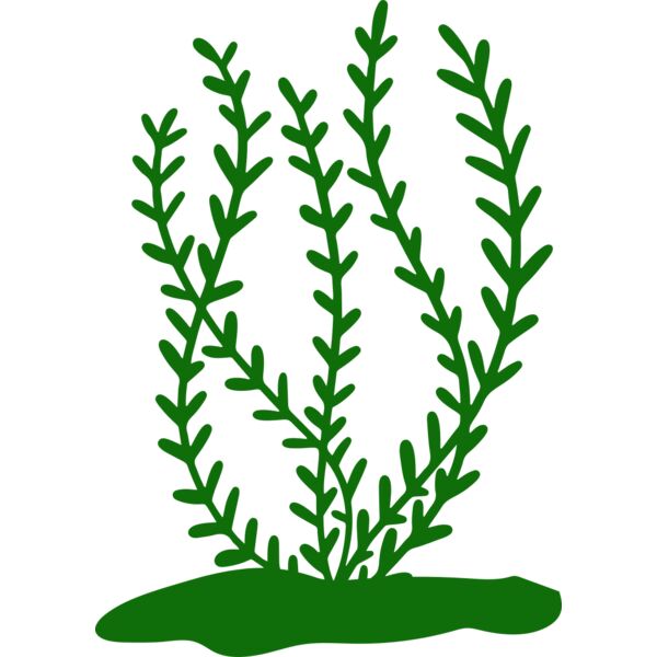 Sea Plants 3 Thumbnail